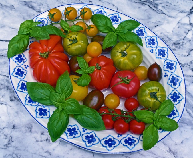 Heirloom Tomatoes and Basil