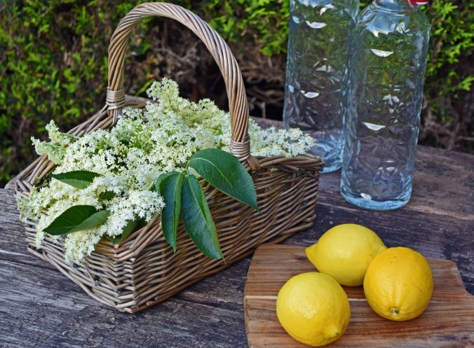 Elderflower cordial prep
