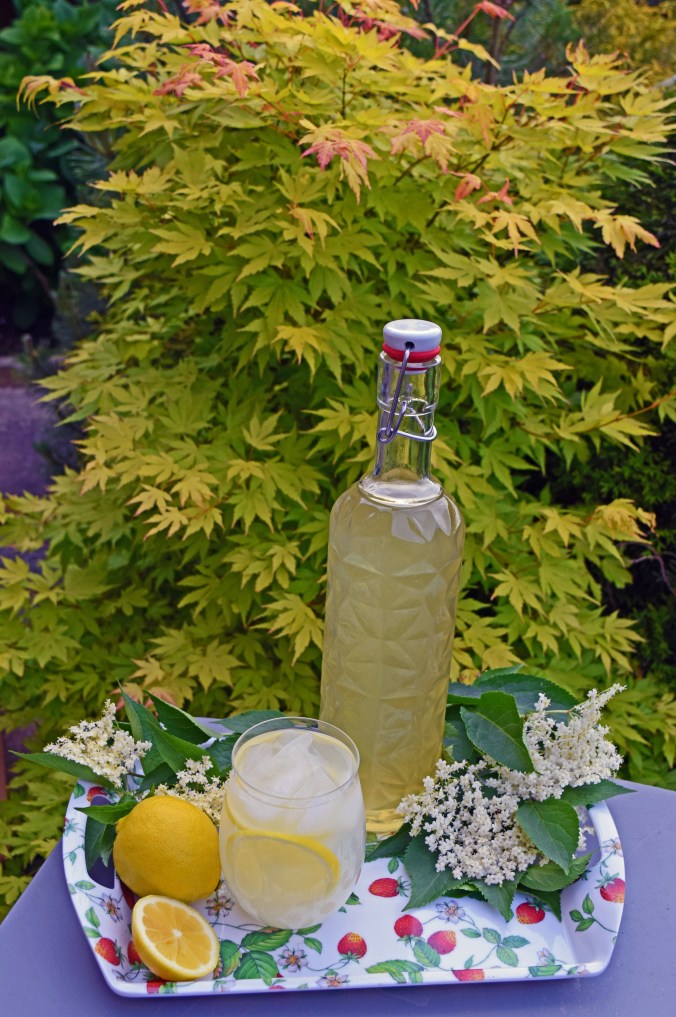 Elderflower cordial