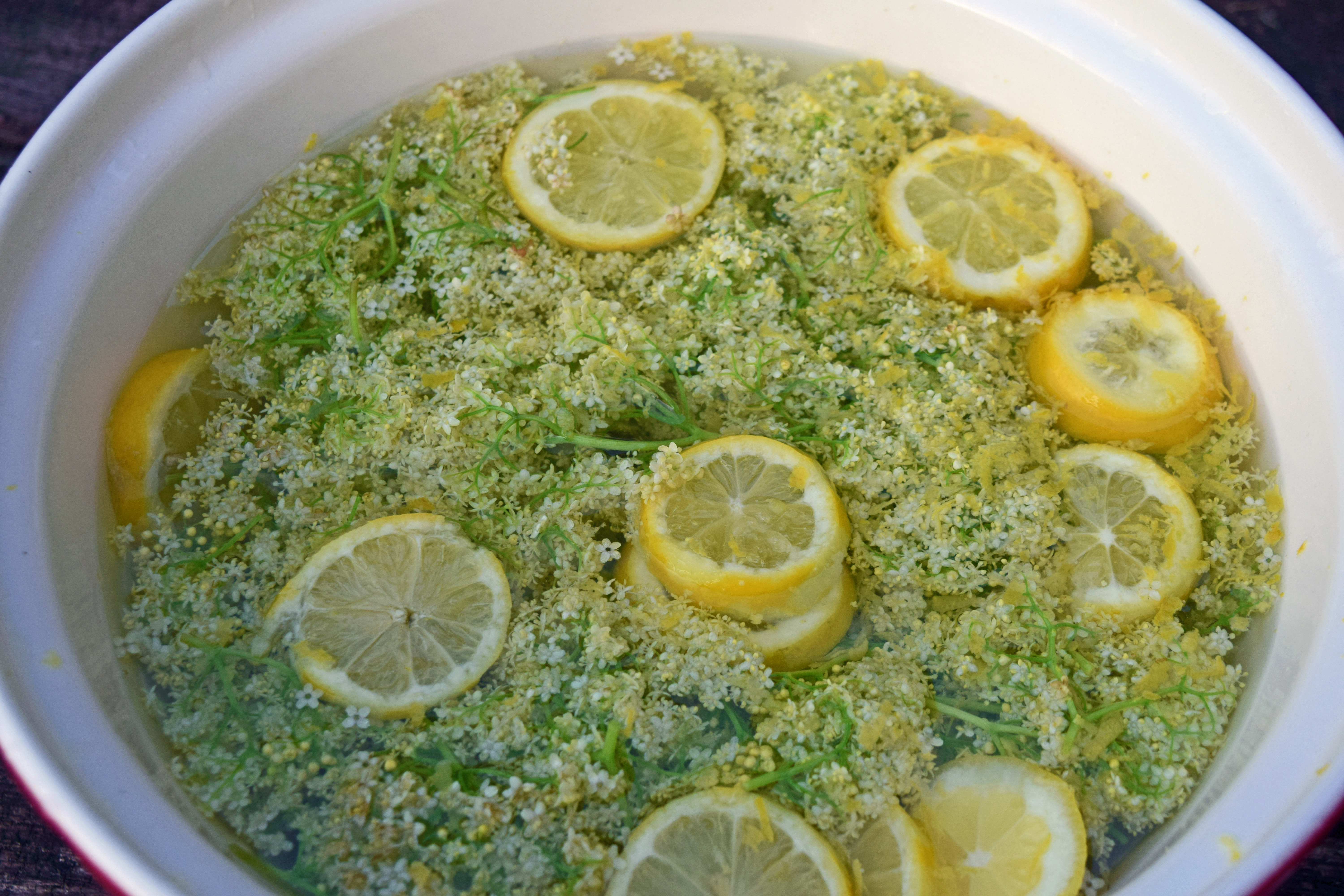 Elderflower infusion